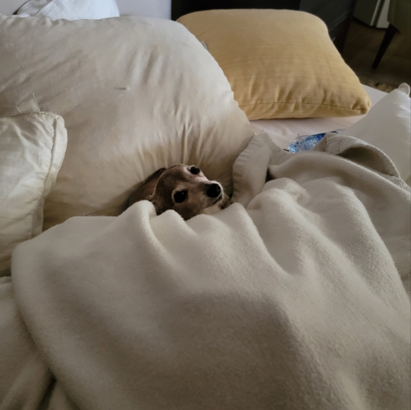 I'M DENISE... - Picture 11 of 13